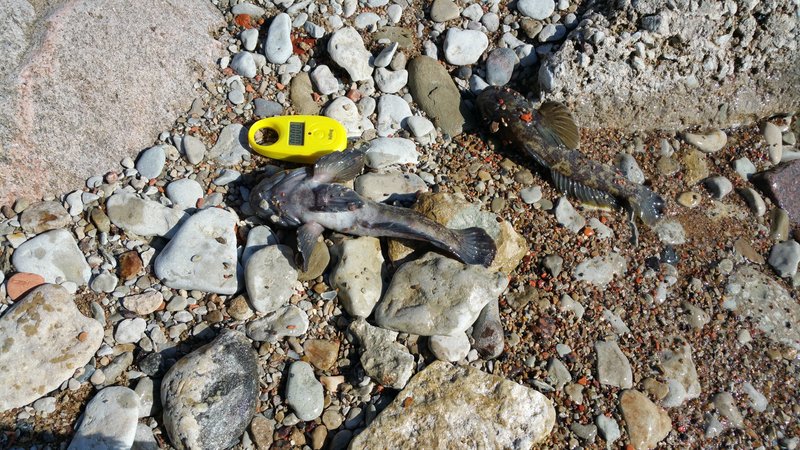 20170530_091614.jpg