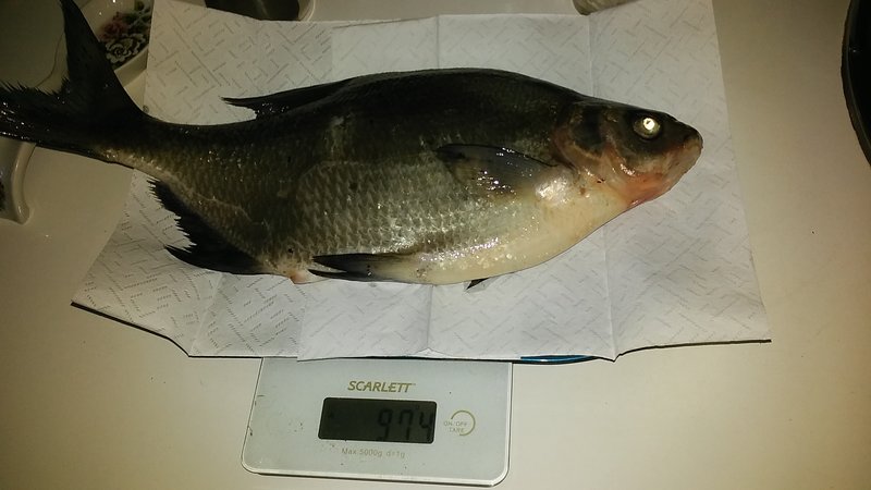20170609_185909.jpg