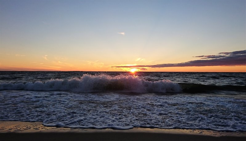 DSC_0513.JPG