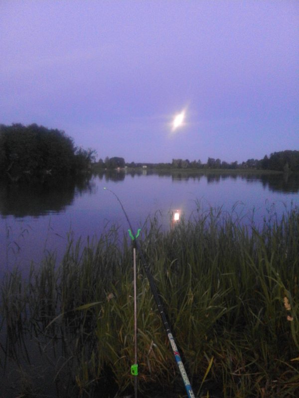 20170708_230425.jpg