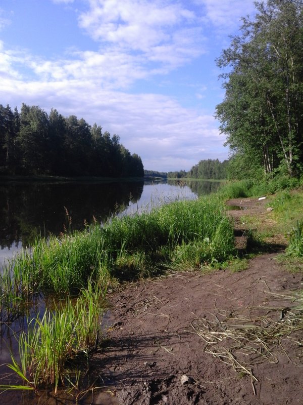 20170722_080819.jpg