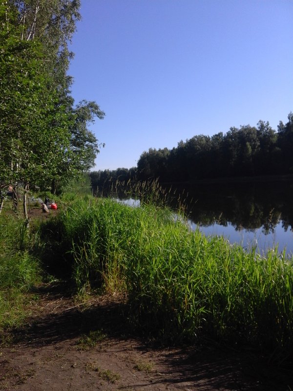 20170722_080829.jpg