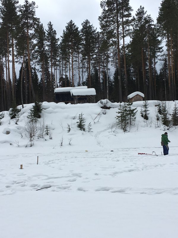 289.JPG