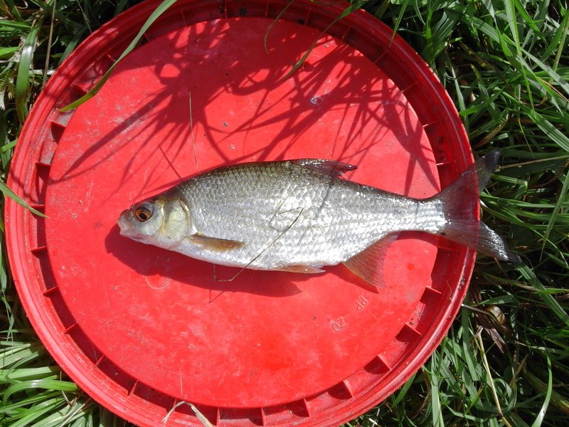 20170813_105357.jpg