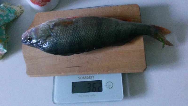 20170824_161855.jpg