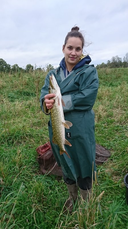 DSC_0942.JPG