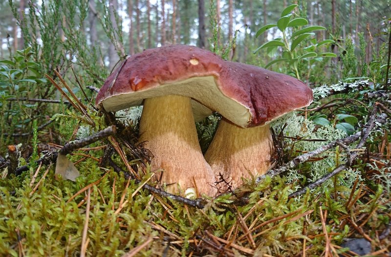 DSC_0991.JPG
