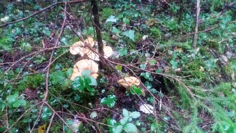 20170920_111339.jpg