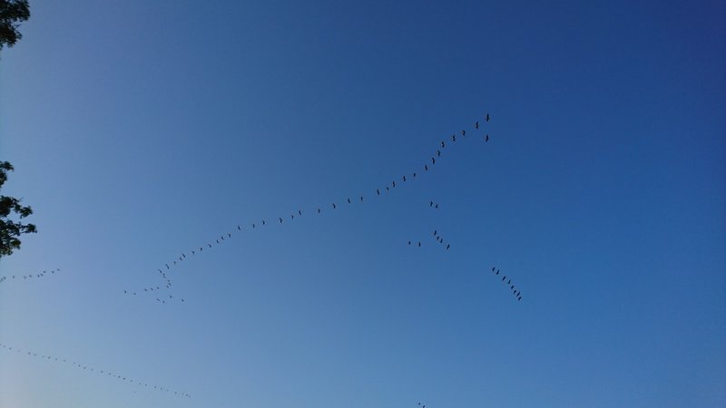 DSC_1063.JPG
