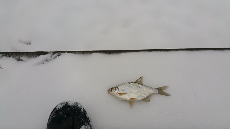 20171027_152851.jpg
