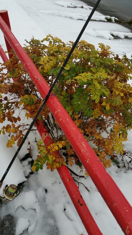 20171027_153145.jpg
