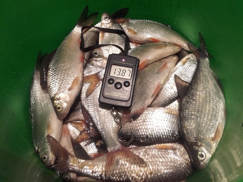 20171105_174227.jpg