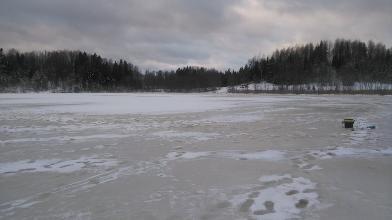 DSC_0587.JPG