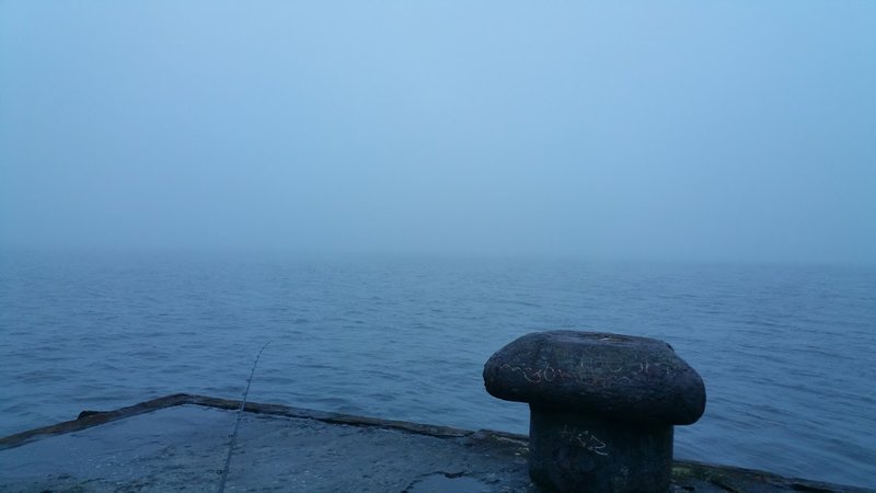 20171122_152059.jpg