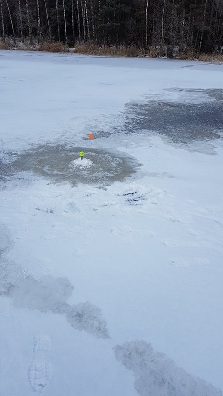 20180114_115023.jpg