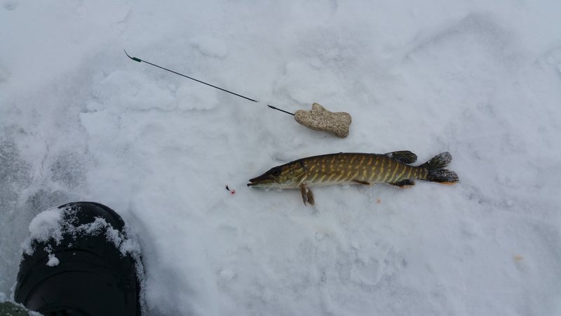 20180131_104150.jpg
