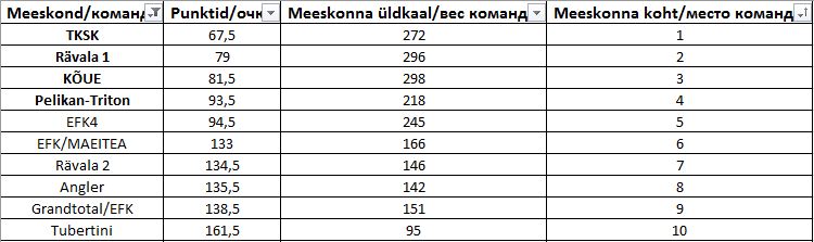 Meeskond.JPG