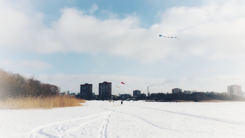 20180224_135544-01.jpeg
