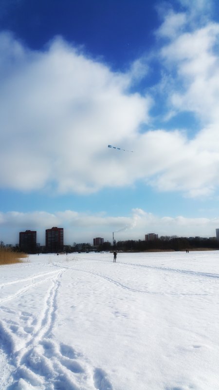20180224_134310-01.jpeg