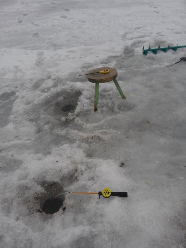 20180325_143814.jpg