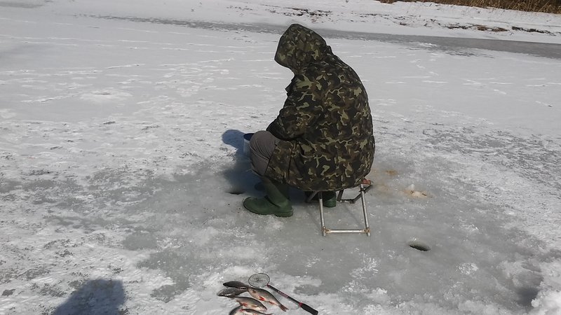 20180331_124810.jpg