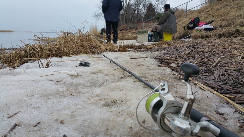 20180408_115221.jpg