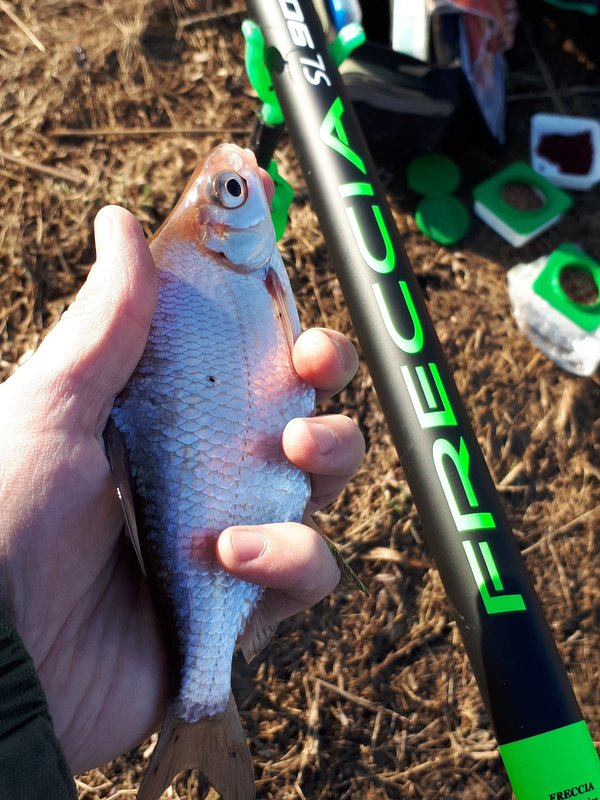 20180414_084349.jpg