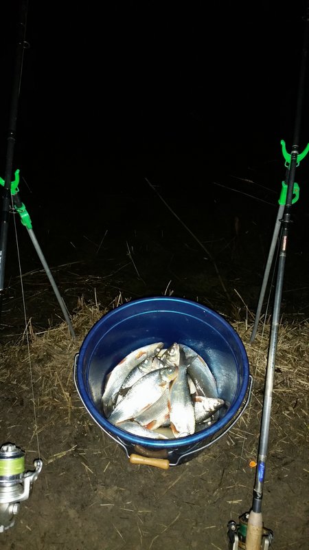 20180417_212515.jpg