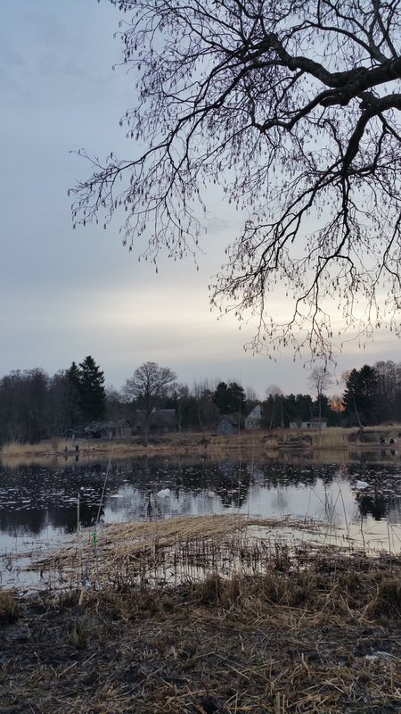 20180420_064037.jpg