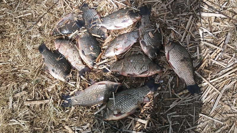 20180427_124424.jpg
