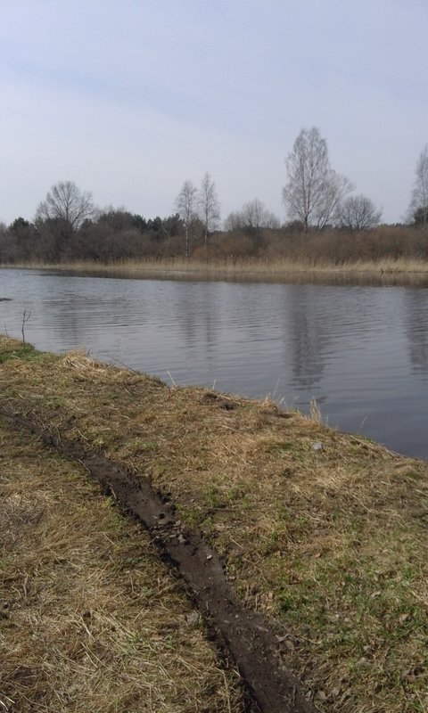 20180429_113751.jpg
