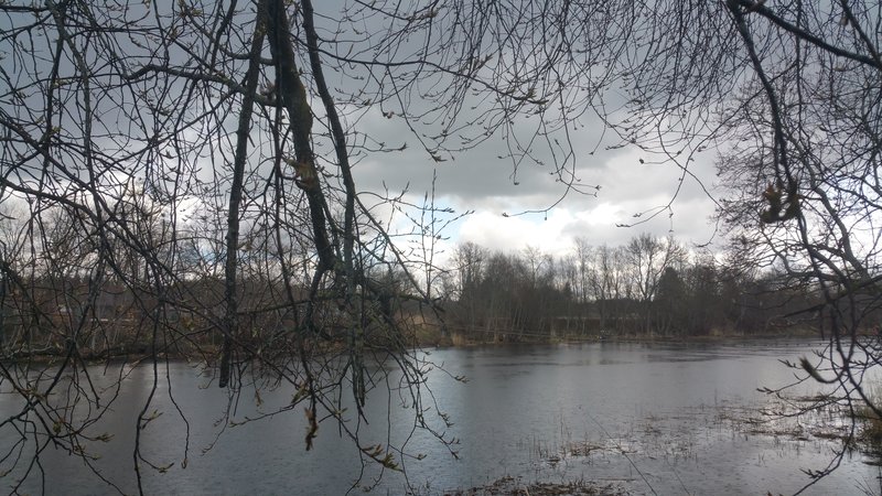 20180428_130816.jpg