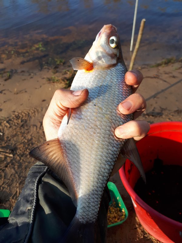 20180502_080522.jpg
