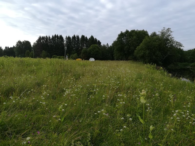 IMG_20180709_073347.jpg