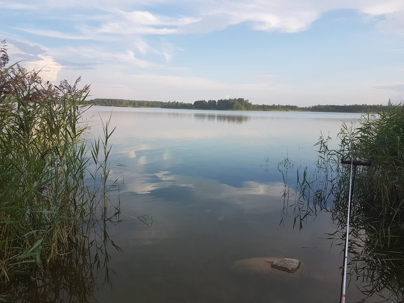 20180724_201605_013.jpg