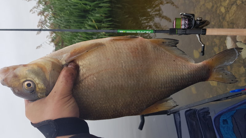 20180825_110238.jpg