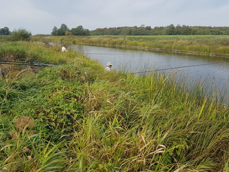 20180908_115913.jpg