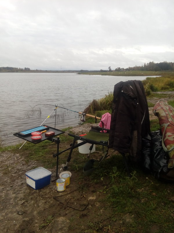 IMG_20181006_090023.jpg