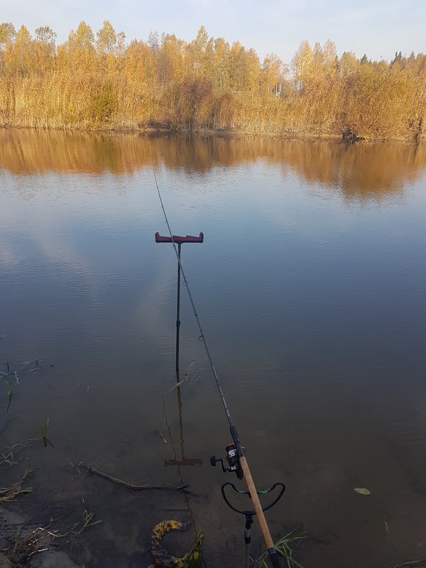 20181013_093717.jpg
