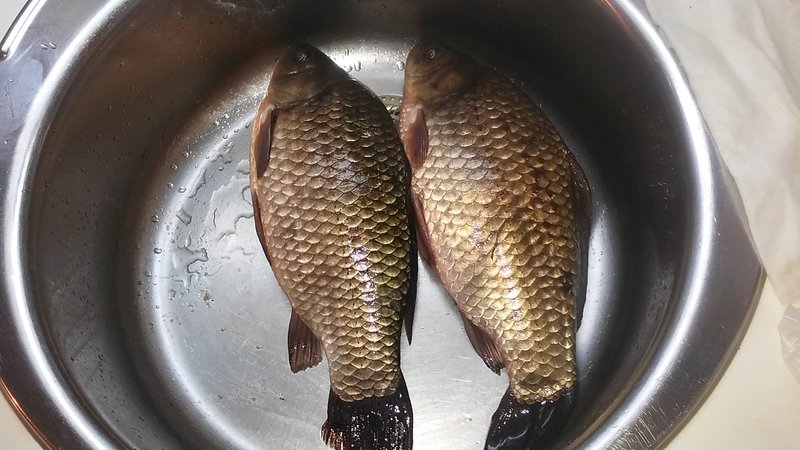 20181120_174654.jpg