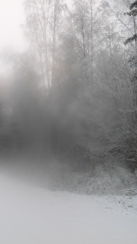 20181127_121512.jpg
