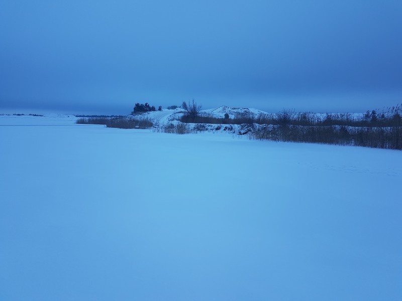 20181224_103124.jpg