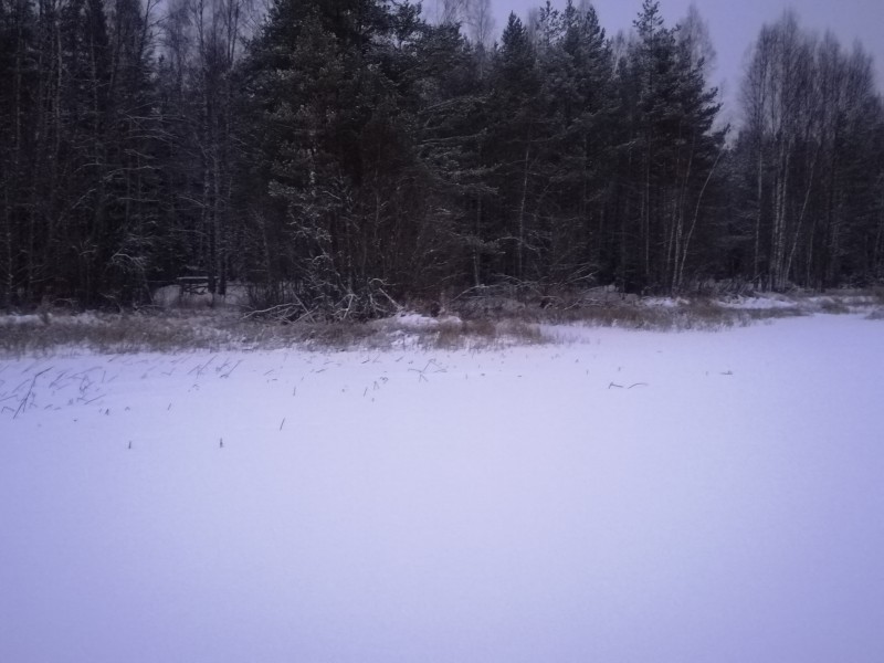IMG_20181224_084930.jpg
