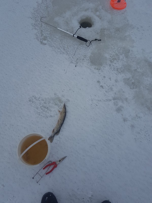 20190113_103811.jpg