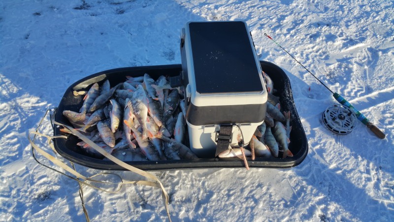 20190120_141236.jpg
