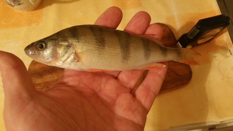 20190121_221412.jpg