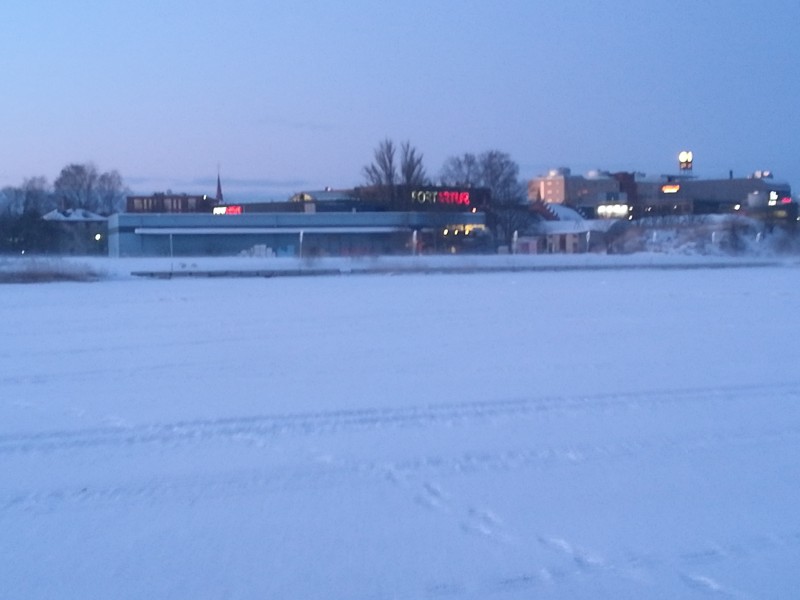 IMG_20190121_081912.jpg