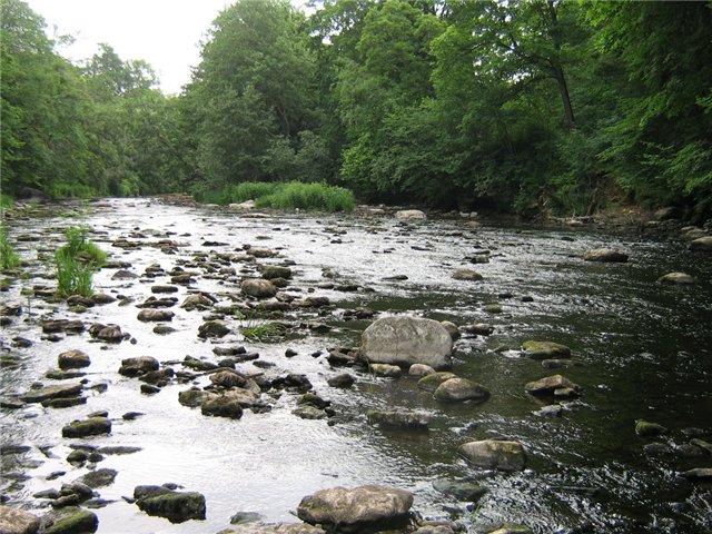 f6c2d0114cf3.jpg