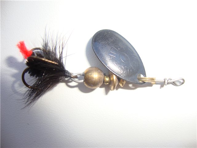 9fd491250b44.jpg