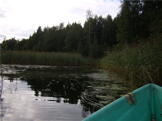 3e8ec0833492.jpg
